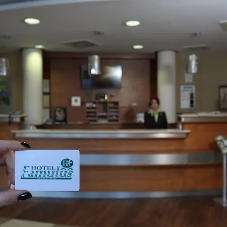 Отель Famulus